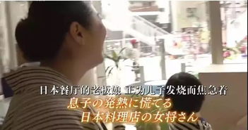 生肖与命理的纠葛