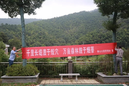 游客体验：吐槽与赞美齐飞