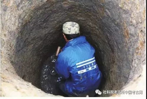 黑色的影子