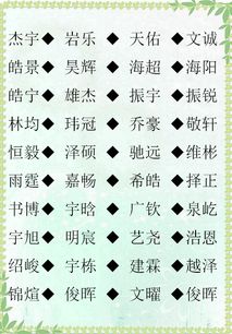 实用案例解析：看看别人怎么做的