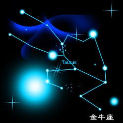 金牛座：稳健与务实的典范