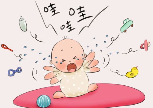 子鼠的阴阳八卦