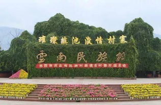 第三天：民族村体验