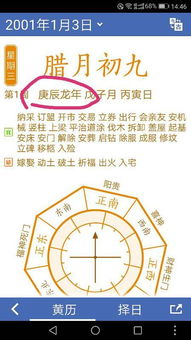 天命的挣扎：2001年12月3日的那一些被岁月遗忘的蛇影灵魂