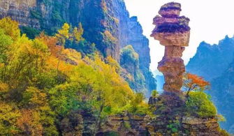 天呐噜！白石山门票原来可以这样搞？看完直接省下三顿烧烤钱！