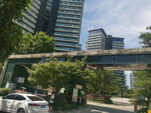 杭州房屋成交价查询,杭州房屋成交价查询