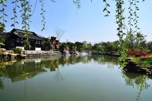 三、 苏堤春晓茶馆——名字太文艺，实际却是迅速闪店