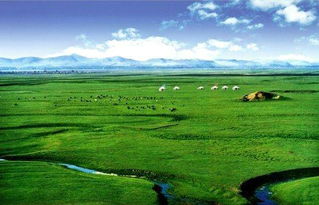 住宿陷阱：草原民宿就是抢钱