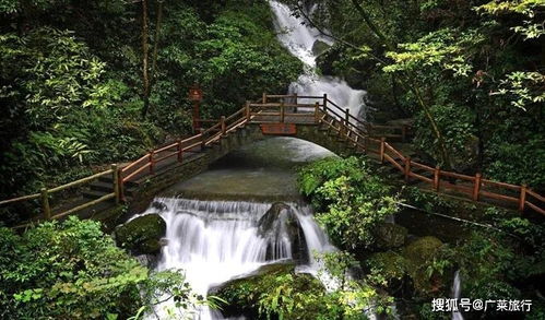 #美食狂欢——吃遍万盛黑山谷🍲🍢🍜#