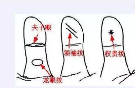 手相中拇指三条纹是何意？