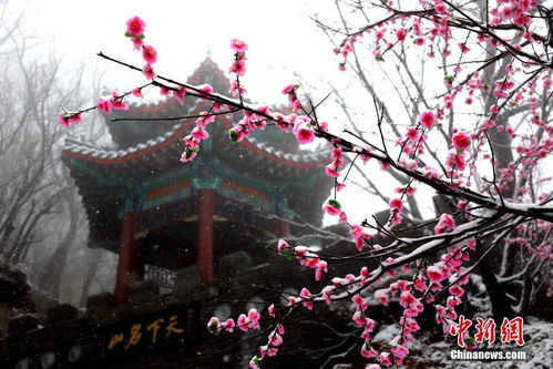 阴阳交错
