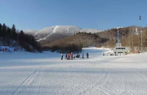 如何在滑雪场上生存下去？新手必堪指南