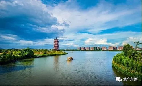 齐河赵牛河人造湿地公园（湿地+噪音）