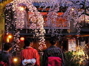 a) 高台寺 & 清水寺 —— “古老+尘土”的混搭套餐