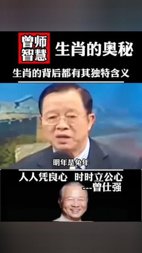 曾仕强讲解的十二生肖婚姻解说，究竟是什么含义？