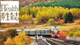 我的火车旅行回忆录 (一段充满吐槽的经历)