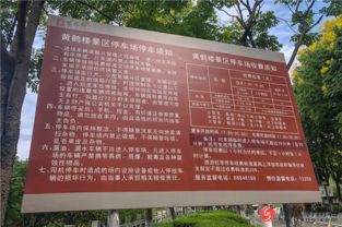 2.1 现场较小插曲