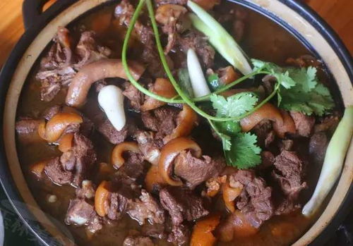 夏至岭南狗肉宴，独特食俗引关注