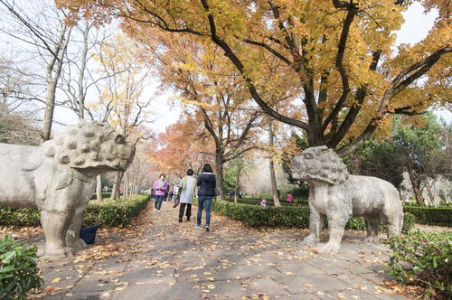 五一假期明孝陵免费开放——一场乱七八糟的古韵探险