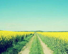 9月份有哪些吉日适合查询老黄历？