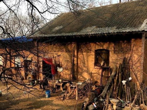 文化内涵：一场大型行为艺术