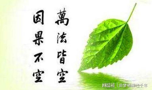 生活中的风水禁忌,生活中的风水故事