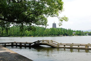 三、 西湖边上的噪音：城市与自然交织成的交响曲