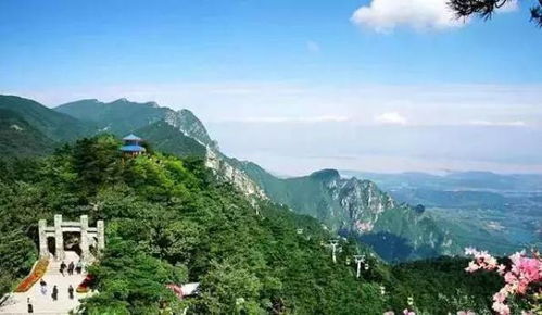 A、 路线随意走，别管方向盘指针指向哪儿