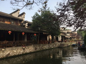 深度体验：在南京寻找宁波的影子