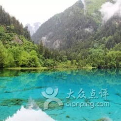 九寨沟门票市场价格：一览无遗（但别被吓到！）