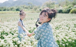 泰山春游——隐秘花海乱入指南