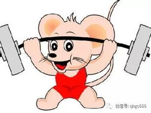 属鼠2026年婚姻运势如何