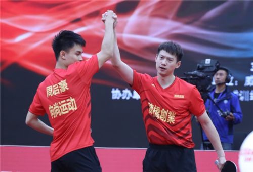 谁曾将樊振东比喻为紫微星？