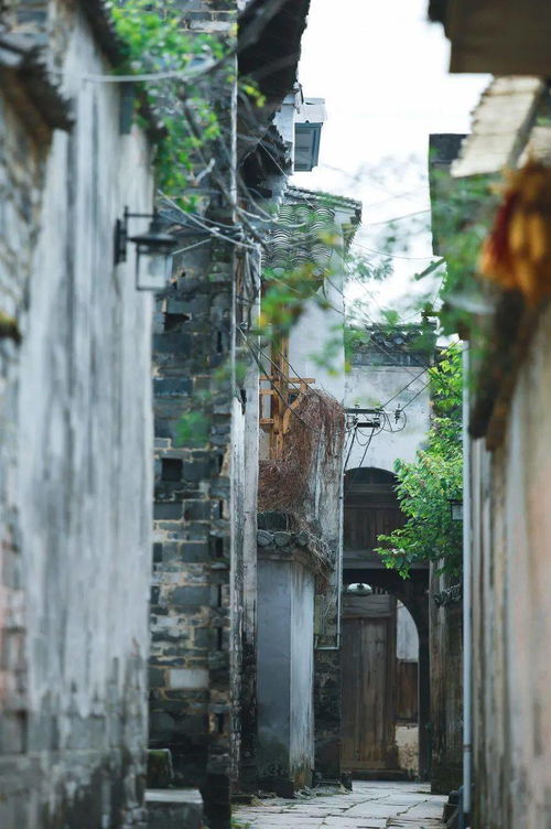 5. 西溪南——绿野仙踪·随手拍摄点