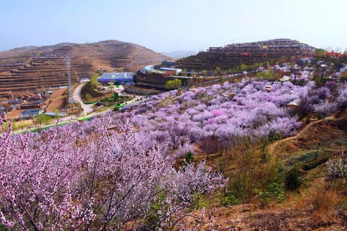 四、农家乐—吃喝玩乐全套乱入套餐