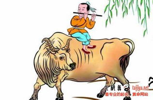 三、 实用名单——列举常见且流行的王姓男孩名字（属虎）