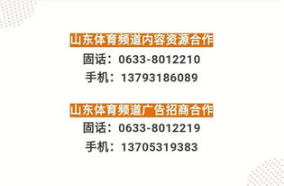 抢票大战！球迷们的血泪史