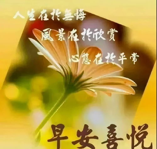 珍惜身边人