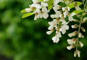 龚吕村和韩峪村路（勉强凑合）