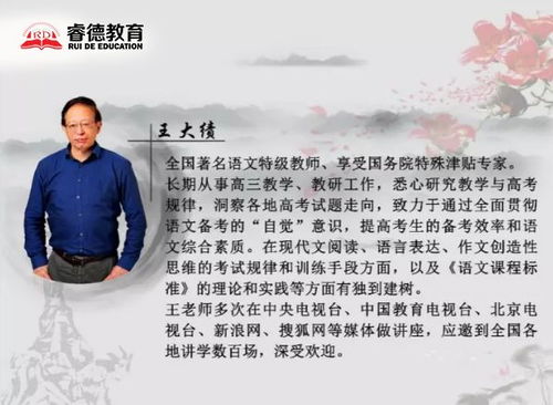 随机噪音文字：