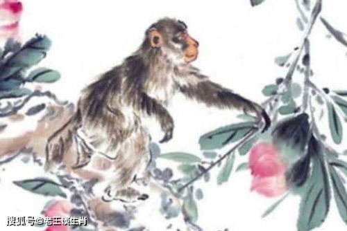 2026年5月19日出生属猴的人财运走势如何？