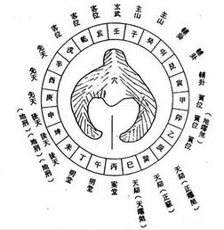 震惊！2026年你的钱包会不会被这股神秘力量掏空？