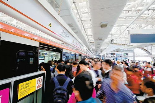 到了 Shenzhen别急着打卡 ：这些 