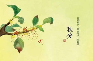 惯与那个倒霉的九月二十三号