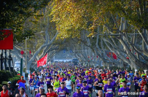 情侣园——浪漫与活力并存的地方