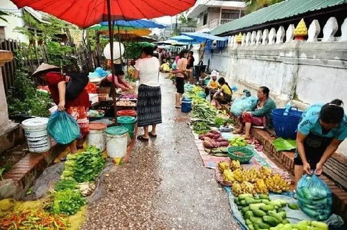 颠覆三观：织布村根本不是人待的地方 是鬼魂的游乐场