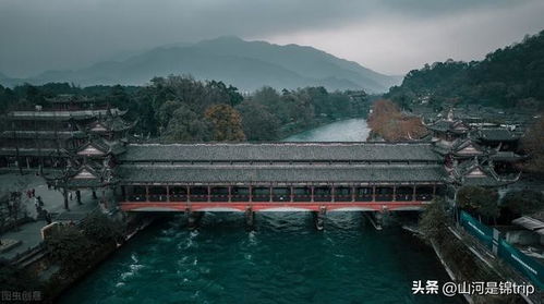 真实案例：一个本地人的视角