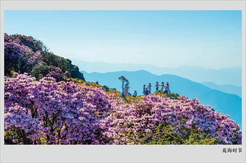 三、清晨或傍晚是你的好朋友——享受独处的时光
