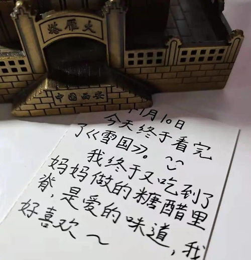 熟悉的陌生：生肖的冲克