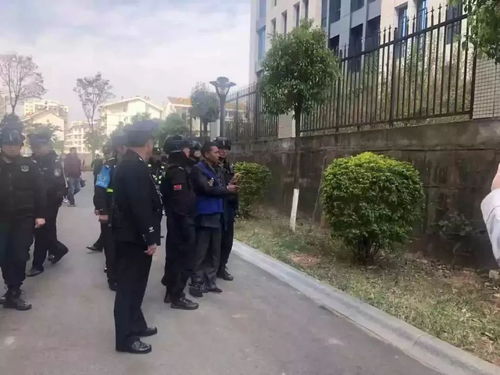 孤魂徘徊：十二生肖的宿命轮回